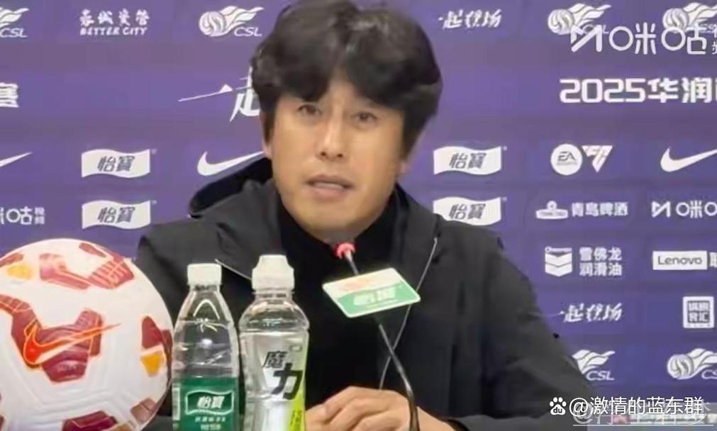 河南球迷指责裁判偏袒,徐正源无辜受牵连 河南球迷指责裁判偏袒,徐正源无辜受牵连