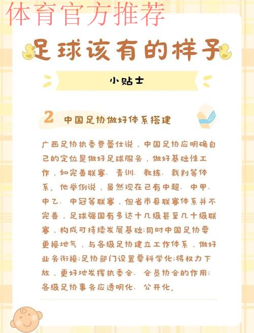 中国足球系列报道之二：职业足球在曲折中成长