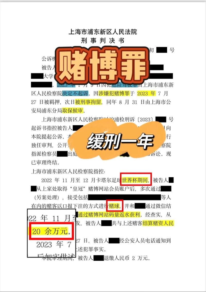 世界杯下注网站用户反馈：真实故事分享